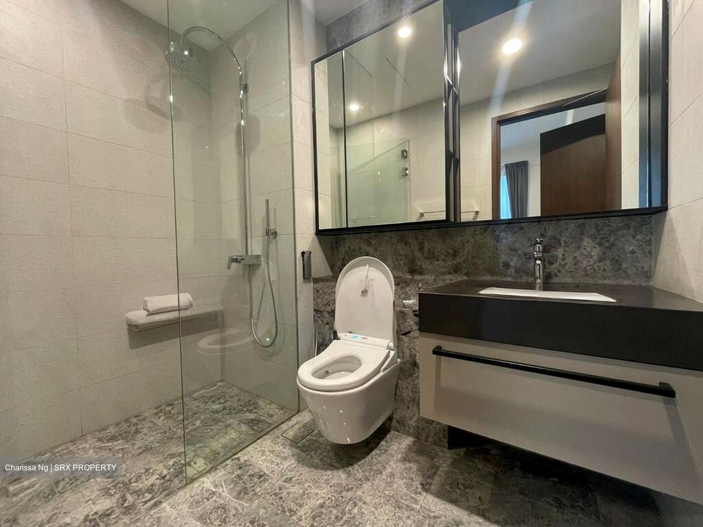 Parksuites (D10), Apartment #523599201
